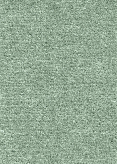 Ковролин AW Masquerade Messalina 27 фото 1 | FLOORDEALER